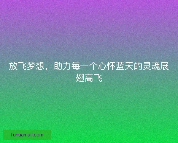 放飞梦想，助力每一个心怀蓝天的灵魂展翅高飞