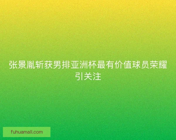 张景胤斩获男排亚洲杯最有价值球员荣耀引关注